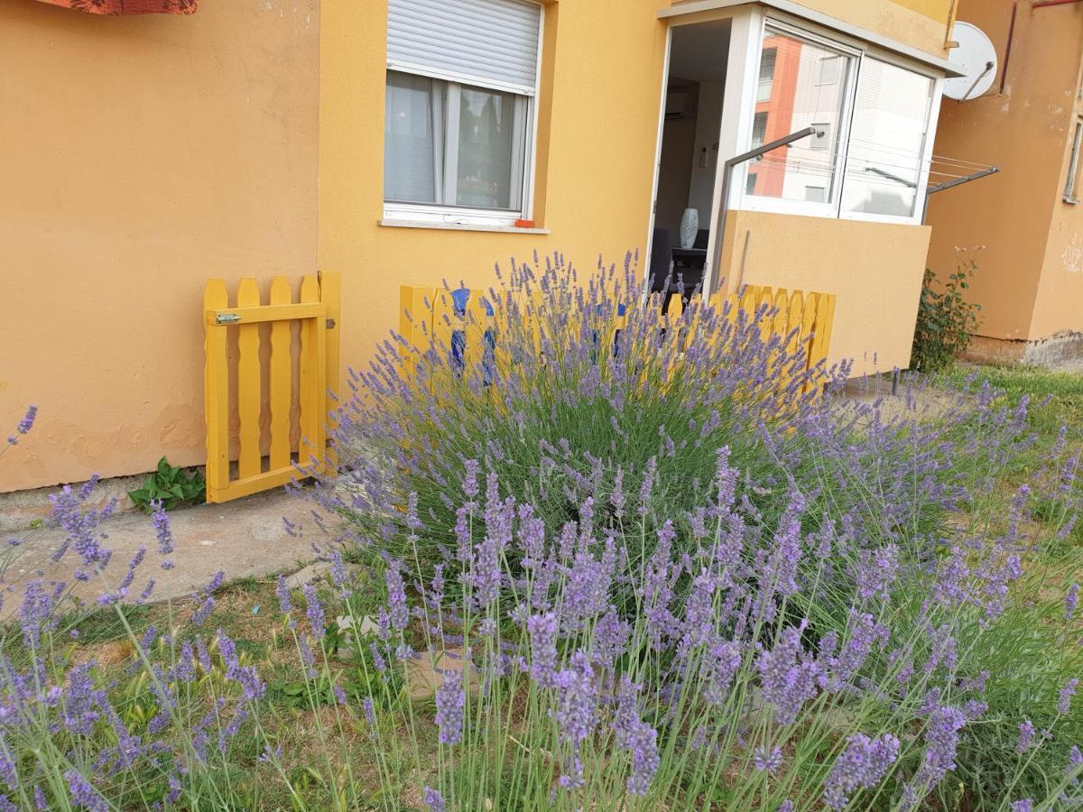 Lav Apartament *